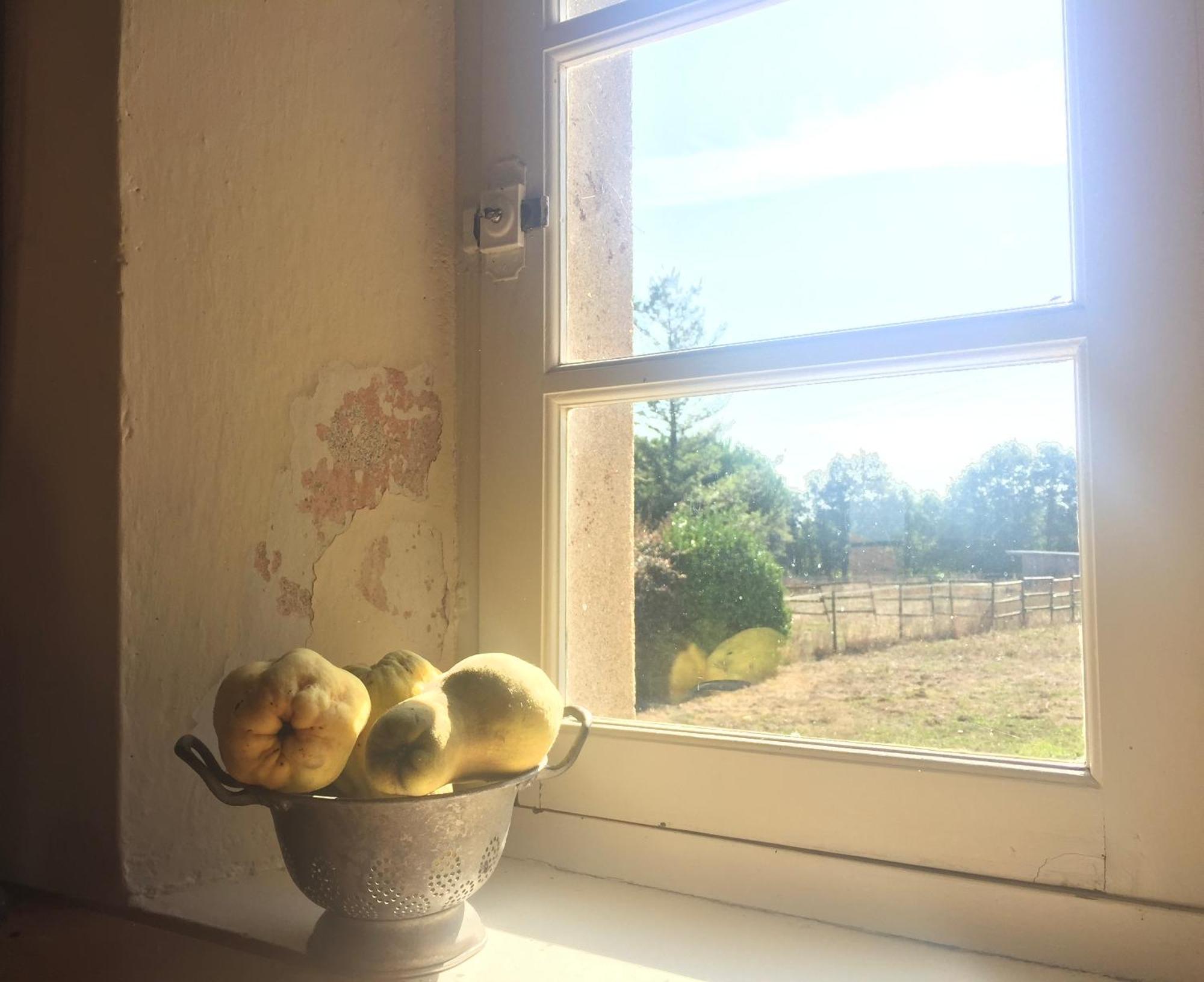La Brionniere Villa Aizenay Buitenkant foto
